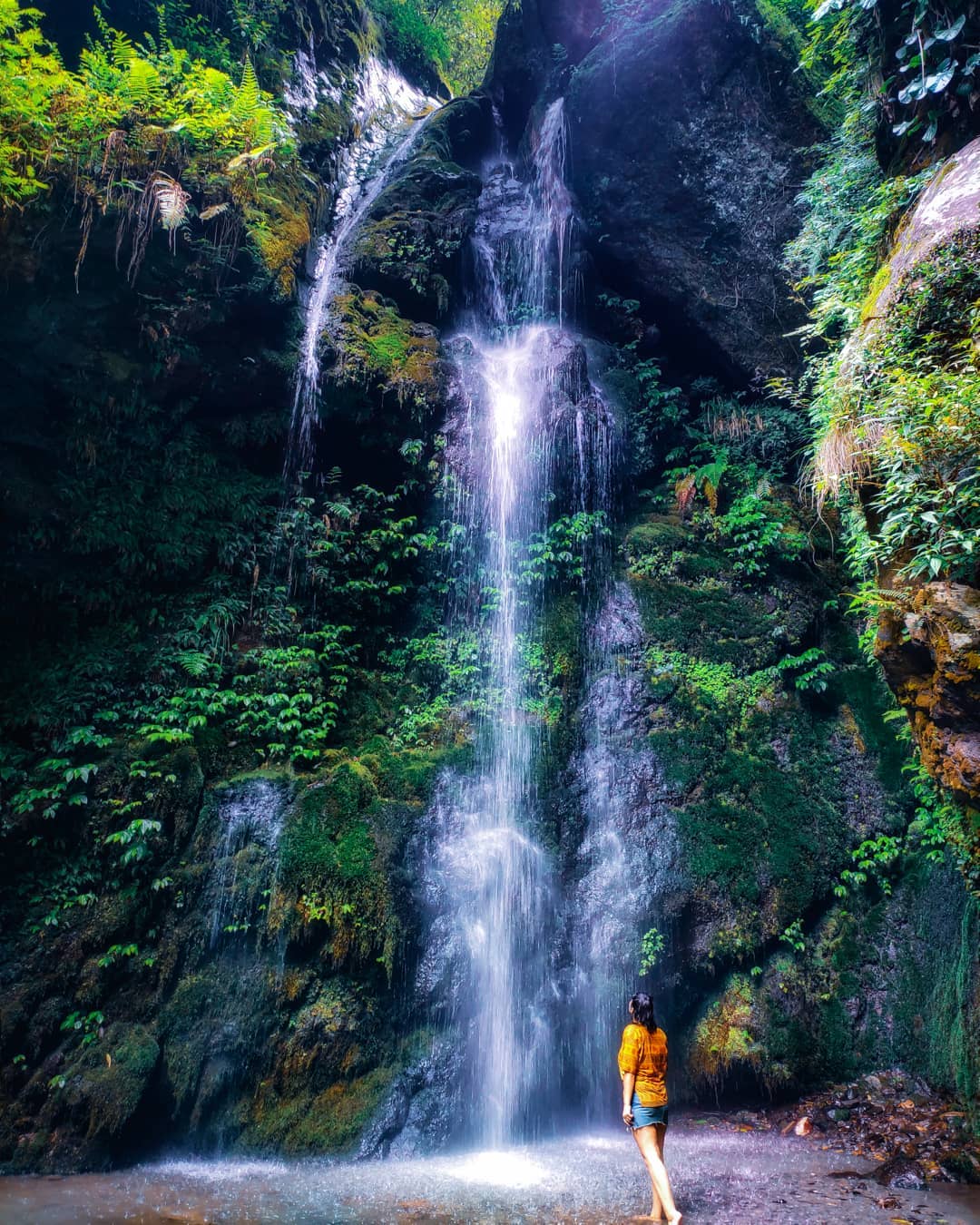 http://www.laidaholidayhomestay.com/public/images/explore-laida/16824926398o8Mss9CtVKHQWMOK8ORJibhiwaterfallManali.jpg