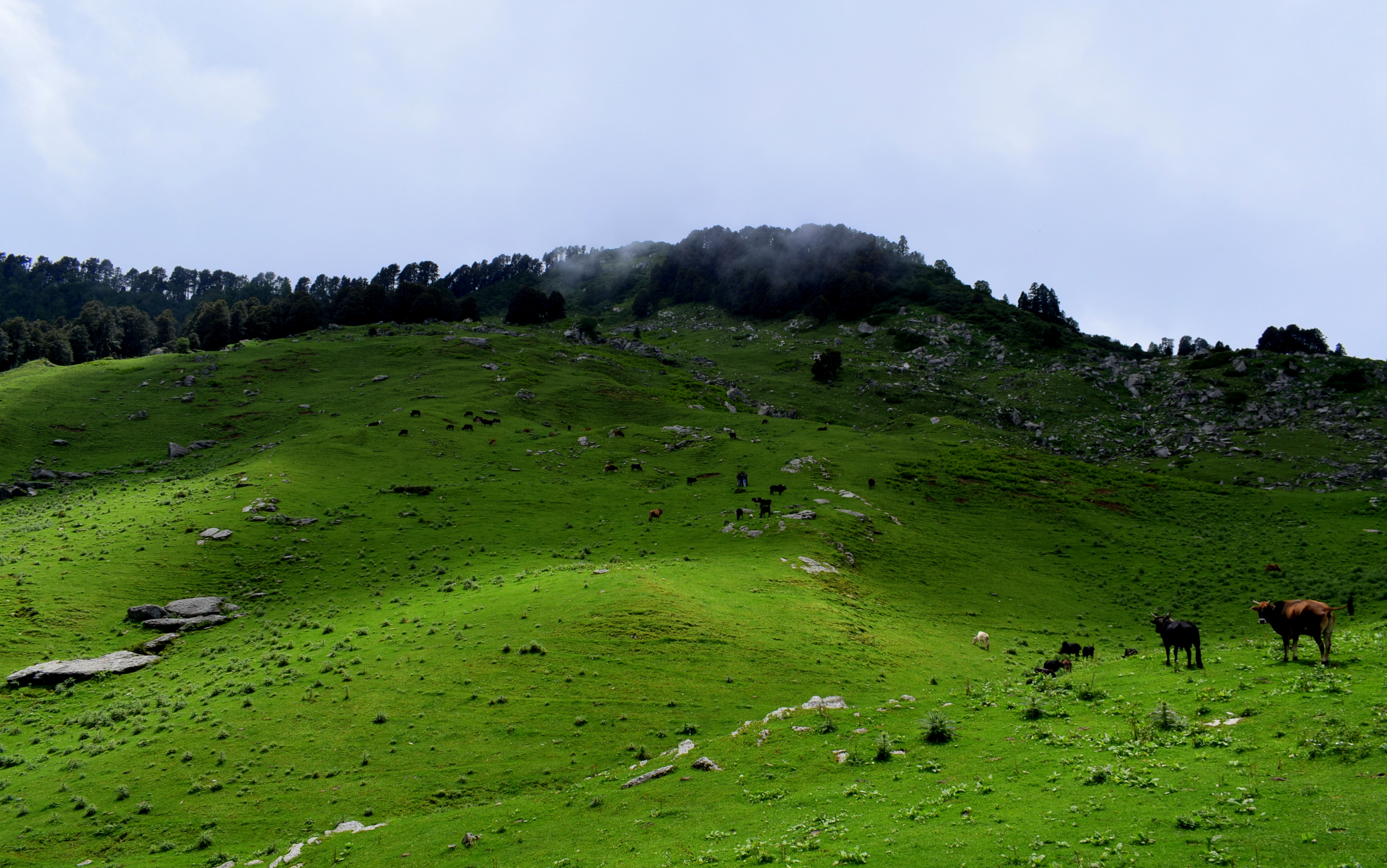 http://www.laidaholidayhomestay.com/public/images/explore-laida/1682492876wbyd9iaoh0TQo20EAjHcthini.jpg